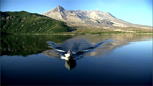 MOUNT ST. HELENS - LIFE FROM ZERO
