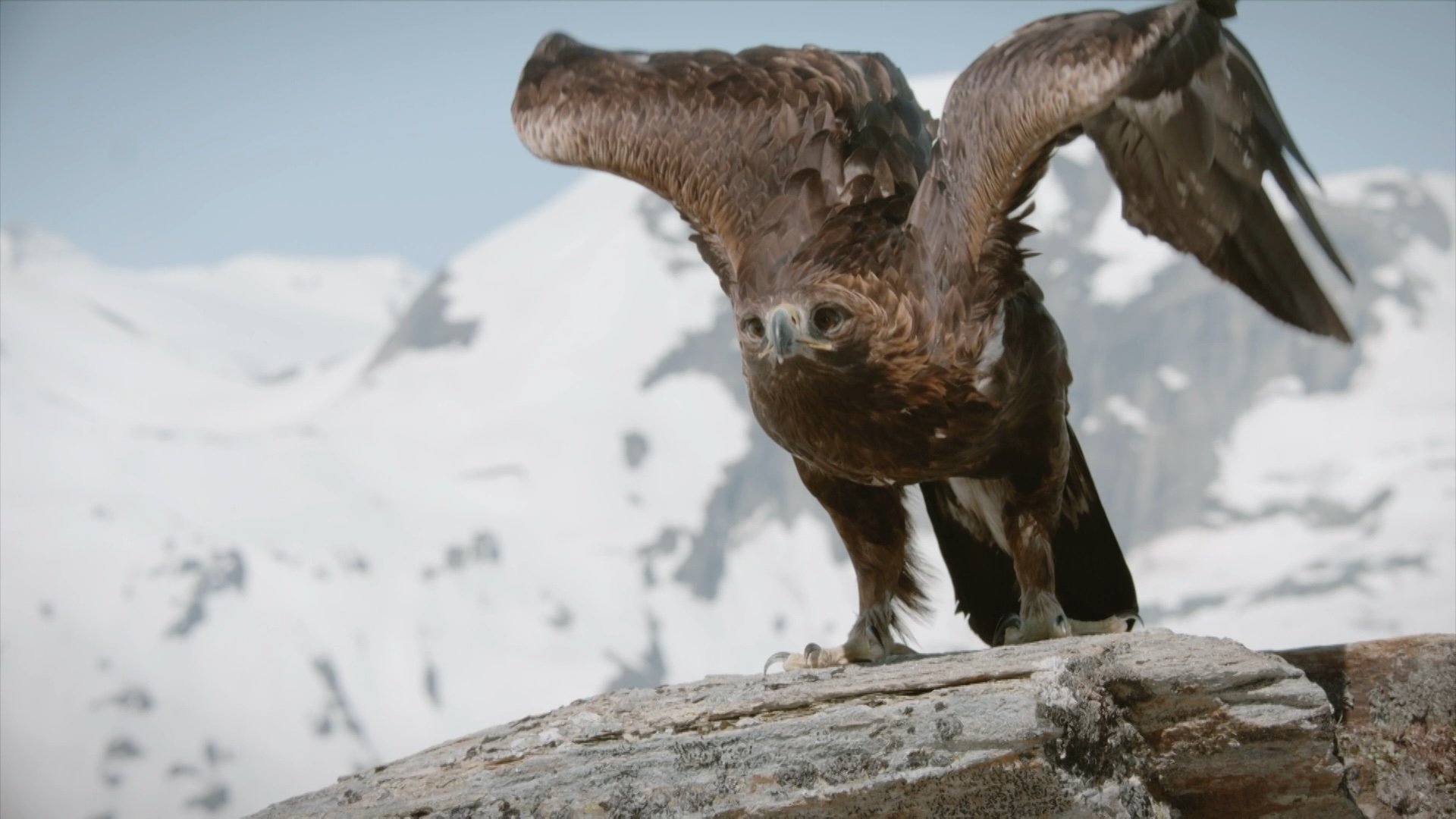 AUSTRIA'S NATURAL HERITAGE - THE BEGINNING